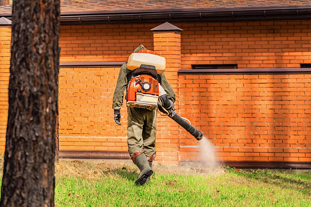 Trusted Ant Control service in Princeton, FL - Nex Pest Control